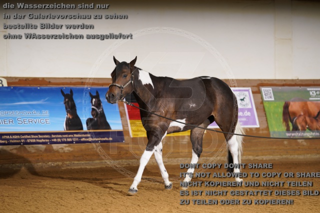s_K3F01765.JPG